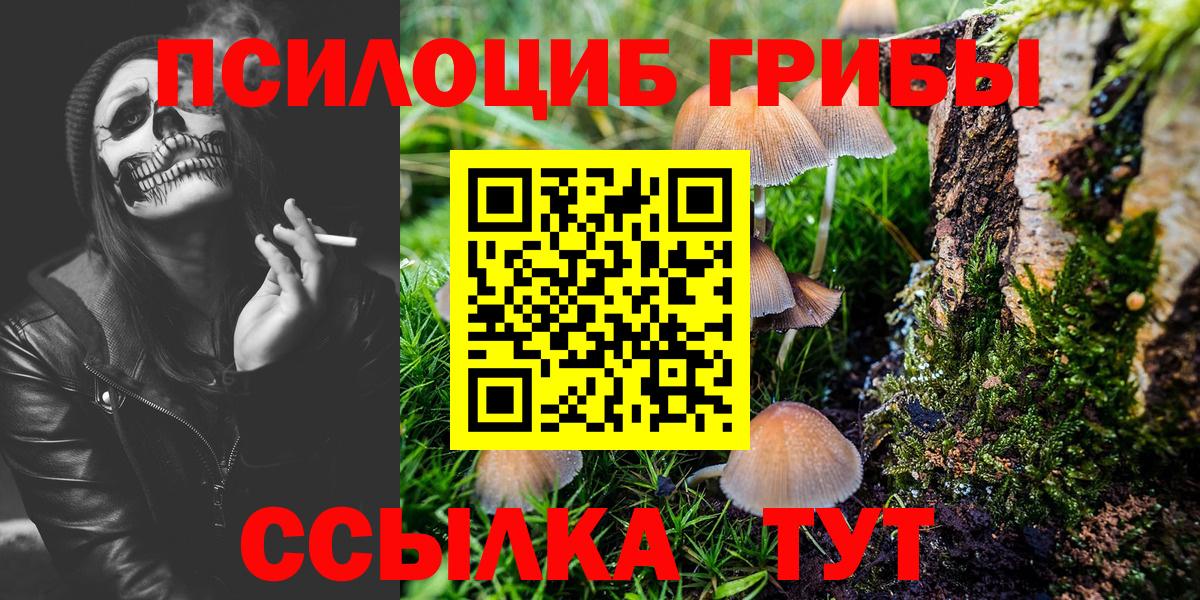 Псилоцибиновые грибы Psilocybe  Галлюциногенные грибы MAGIC MUSHROOMS  продажа наркотиков  Вход с VPN  Кунгур 